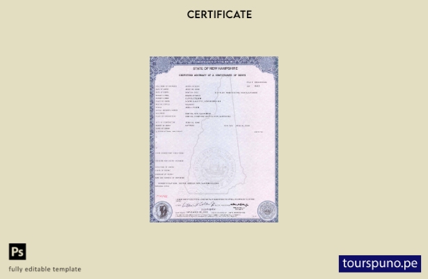Plantilla de certificado de defunción del estado de New Hampshire lista para imp